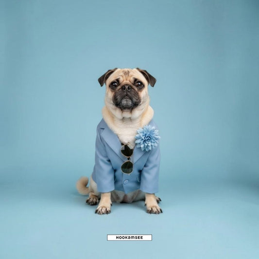 Shirt „Styled Dogs – Mops"