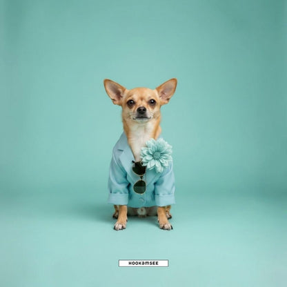 Shirt „Styled Dogs – Chihuahua"
