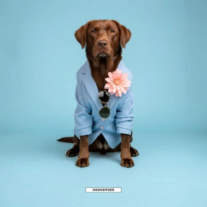 Shirt „Styled Dogs – Labrador"