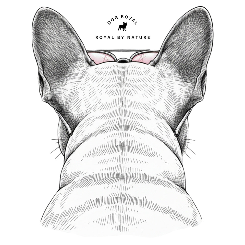 Rückansicht eines Frenchie mit pinker Sonnenbrille – Motiv für Unisex Hoodie „Frenchie Pink Boss“
