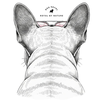 Rückansicht eines Frenchie mit pinker Sonnenbrille – Motiv für Unisex Hoodie „Frenchie Pink Boss“