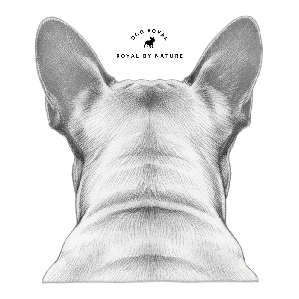 Rückansicht eines Frenchie mit DOG ROYAL Schriftzug – Motiv für Unisex Hoodie „Frenchie Rainbow Rebel“